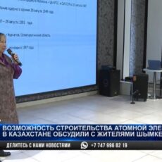 Вопрос строительства атомной электростанции обсудили в Шымкенте