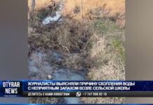 Мутная история: зловонный запах под окнами школы напугал очевидцев