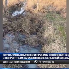 Мутная история: зловонный запах под окнами школы напугал очевидцев