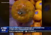 Новые подробности вопиющих нарушений в спецколледже Кентау