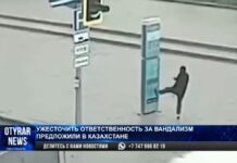 Ужесточить наказание для вандалов предложили в Казахстане