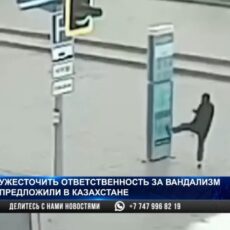 Ужесточить наказание для вандалов предложили в Казахстане