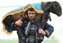 Спортивные состязания по национальным видам спорта прошли в Шымкенте