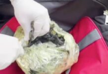 Мефедрон на 30 млн тенге обнаружили в багажнике такси в Шымкенте