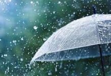 Снег и дождь ожидается в Шымкенте 13 марта