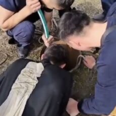 29-летняя девушка умерла после падения в дренажный колодец