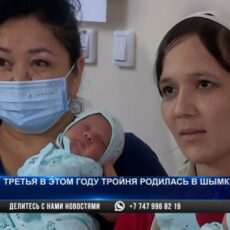 «Было три ребенка, а теперь шесть». Три батыра появились на свет в Шымкенте