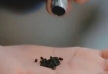 Насвай вне закона: молодежь и взрослые стали чаще употреблять некурительные изделия