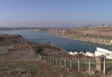 Молодые учёные Шымкента выясняют, насколько загрязнена Сырдарья