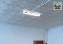 Жителя Туркестанской области после УДО отправили обратно в тюрьму