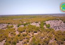 Прокуроры Туркестанской области вернули 4,400 га земли охотничьего угодья в госсобственность