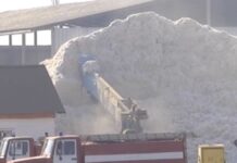 Прокуроры помогли крестьянским хозяйствам вернуть почти миллиард тенге