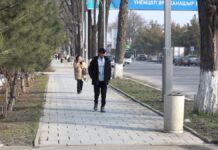 До +23°C ожидается в Шымкенте