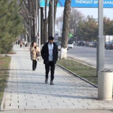 До +23°C ожидается в Шымкенте