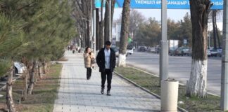 До +23°C ожидается в Шымкенте