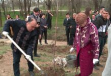 100 саженцев в честь Наурызнама: в Казахстане началась общенациональная акция