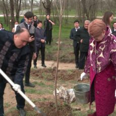100 саженцев в честь Наурызнама: в Казахстане началась общенациональная акция