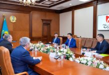 Турецкие инвесторы построят парогазовую установку в Шымкенте