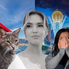 Абсурд, который мы заслужили?: Почему лучше родиться кошкой в Турции, чем женщиной в Казахстане