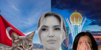 Абсурд, который мы заслужили?: Почему лучше родиться кошкой в Турции, чем женщиной в Казахстане