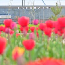 За озеленение и благоустройство города активно взялись в Шымкенте