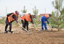 Акция «Таза Қазақстан» проходит в Шымкенте