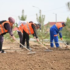 Акция «Таза Қазақстан» проходит в Шымкенте