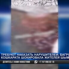 Река Кошкарата окрасилась в красный цвет
