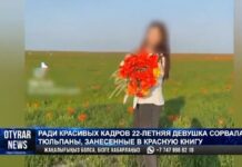 Букет тюльпанов за 11 миллионов тенге: студентка «хайпанула» в Tik-Tok