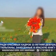 Букет тюльпанов за 11 миллионов тенге: студентка «хайпанула» в Tik-Tok