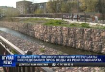 Кровь в реке Кошкарата: экологи огласили результаты проверки воды