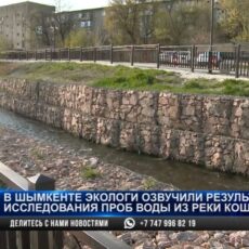 Кровь в реке Кошкарата: экологи огласили результаты проверки воды