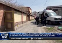 Стали известны подробности стрельбы в Шымкенте