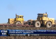 Аграрии Шымкента не могут заплатить налог за земли