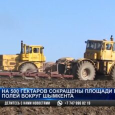 Аграрии Шымкента не могут заплатить налог за земли