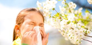 Что делать с насморком когда цветут сады…