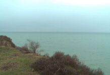 Дефицит воды грозит югу: чего ждать Туркестанской области рассказали экологи