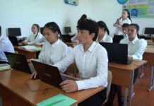 К спутниковому интернету Илона Маска Starlink подключились в Туркестанской области