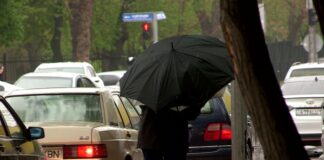 Шымкент накроют проливные дожди с порывистым ветром и понижением температуры воздуха