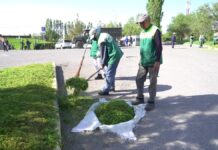 В Шымкенте в рамках акции «Киелі мекен» очистили территорию зон отдыха