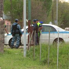 Подробности изнасилования школьницы в Туркестанской области