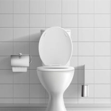 Госстандарт туалетов предлагают разработать в Казахстане