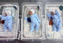 В городском роддоме Шымкента родилась тройня