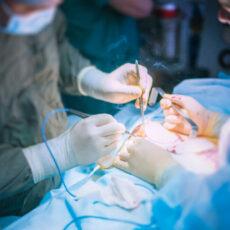 Врачи Шымкента восстановили работу почки у пациента