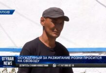 Осужденный за разжигание розни блогер просится на свободу