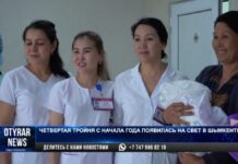 Четвертая тройня с начала года появилась на свет в Шымкенте