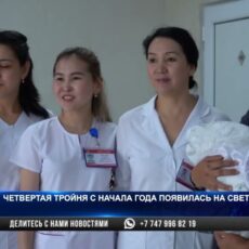 Четвертая тройня с начала года появилась на свет в Шымкенте