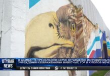 Стены тюрьмы в Шымкенте превратили в произведения искусства