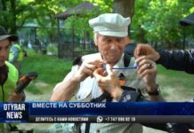 Кто помогает акиму наводить порядок в Шымкенте?