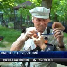 Кто помогает акиму наводить порядок в Шымкенте?